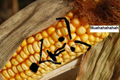 evil_corn